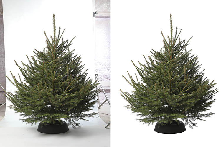 Image Masking Services 