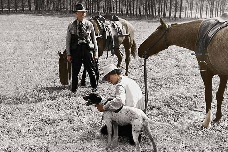 Old Photo Restoration