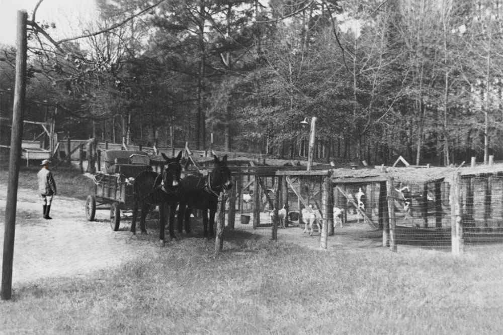 old photo restoration​,