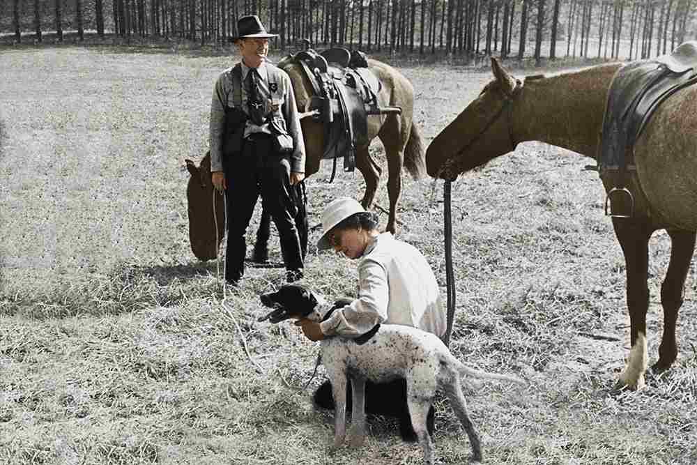 Old Photo Restoration