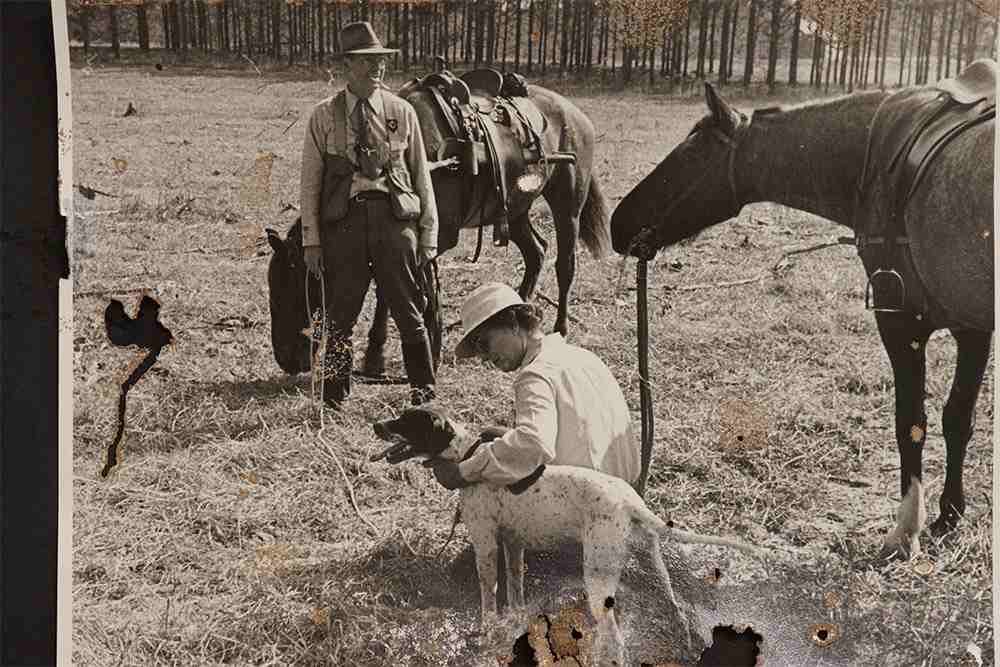 Old Photo Restoration